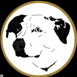 Meet your Posher, Gilden Media Productions